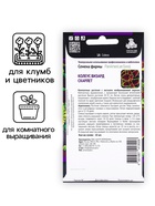 Семена цветов Колеус Визард Скарлет, 10шт 10849874 - фото 14360243