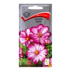 Семена цветов Космея Царевна, 0,1гр - Фото 1