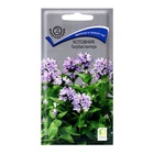 Семена цветов Котовник Голубая пантера, 10шт - Фото 1