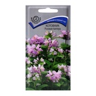 Семена цветов Котовник Розовая пантера, 10шт - Фото 1