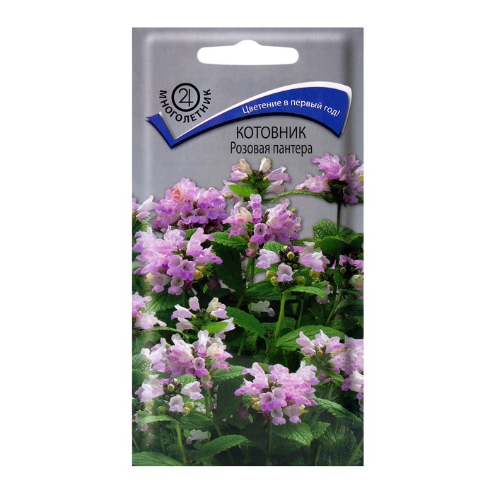 Семена цветов Котовник Розовая пантера, 10шт - Фото 1