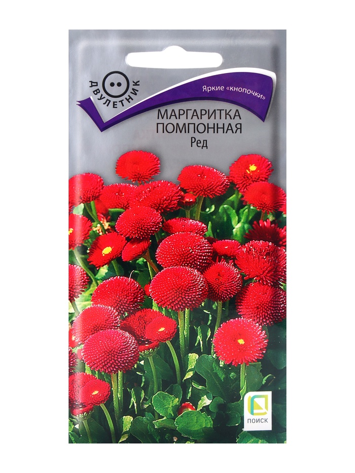 Семена цветов Маргаритка помпонная Ред, 0,05гр - Фото 1