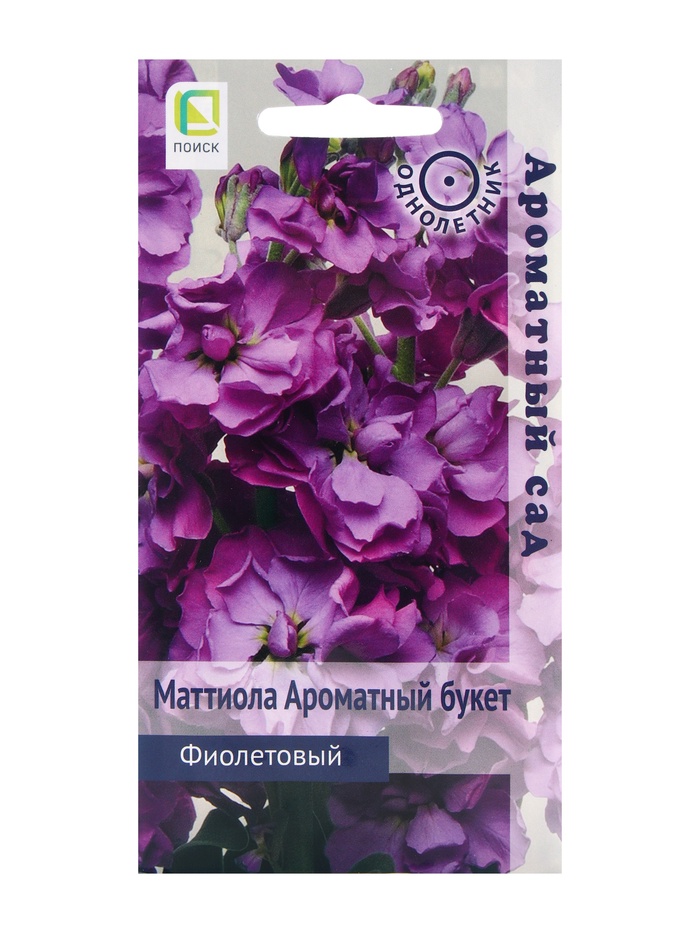 Семена цветов Маттиола Ароматный Букет Фиолетовый, 0,05р - Фото 1