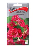 Семена цветов Настурция низкорослая Розовый шифон, 1гр - Фото 1