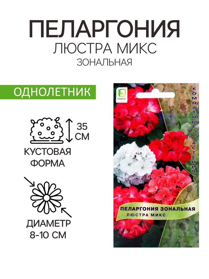 Семена цветов Пеларгония зональная «Люстра микс», 5 шт., «ПОИСК» - Фото 1