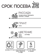 Семена цветов Пеларгония зональная «Люстра микс», 5 шт., «ПОИСК» - Фото 2