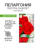 Семена цветов Пеларгония зональная «Люстра Скарлет», 5 шт., «ПОИСК» - Фото 1