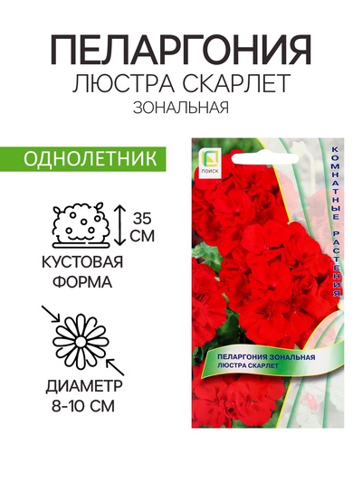 Семена цветов Пеларгония зональная Люстра Скарлет, 5шт