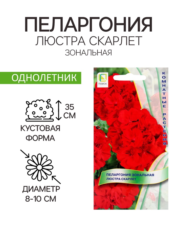 Семена цветов Пеларгония зональная «Люстра Скарлет», 5 шт., «ПОИСК» - Фото 1