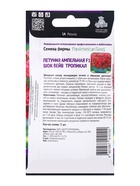 Семена цветов Петуния ампельная «Шок Вейв Тропикал» F1, 5 шт. - Фото 2
