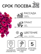 Семена цветов Петуния каскадная «Тайдал Вейв Парпл» 5 шт. - Фото 2
