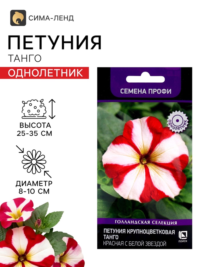 Семена цветов Петуния крупноцветковая «Танго» красная с белой звездой, 15 шт. - Фото 1