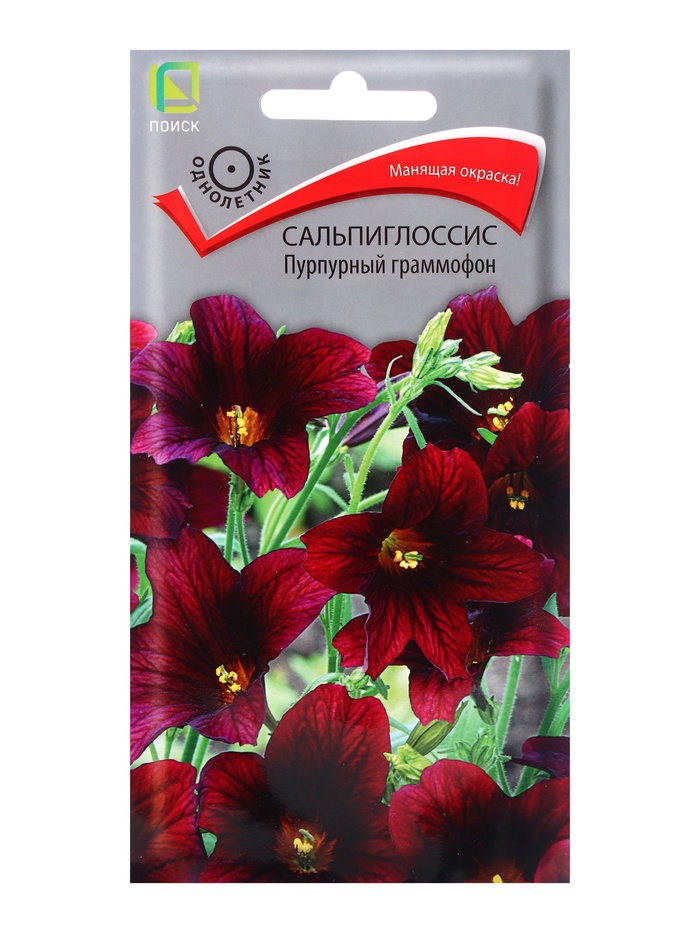 Семена цветов сальпиглоссис «Пурпурный граммофон», 0.01 г