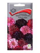 Семена цветов Скабиоза темно-пурпурная Разбитое сердце, 10шт - Фото 1