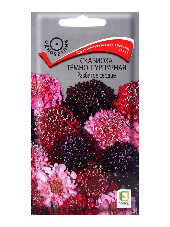 Семена цветов Скабиоза темно-пурпурная Разбитое сердце, 10шт - Фото 1