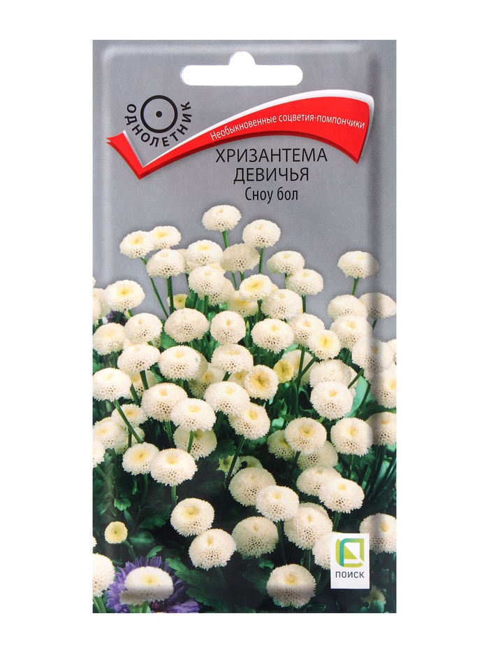 Семена цветов хризантема девичья «Сноу бол», 0.05 г - Фото 1