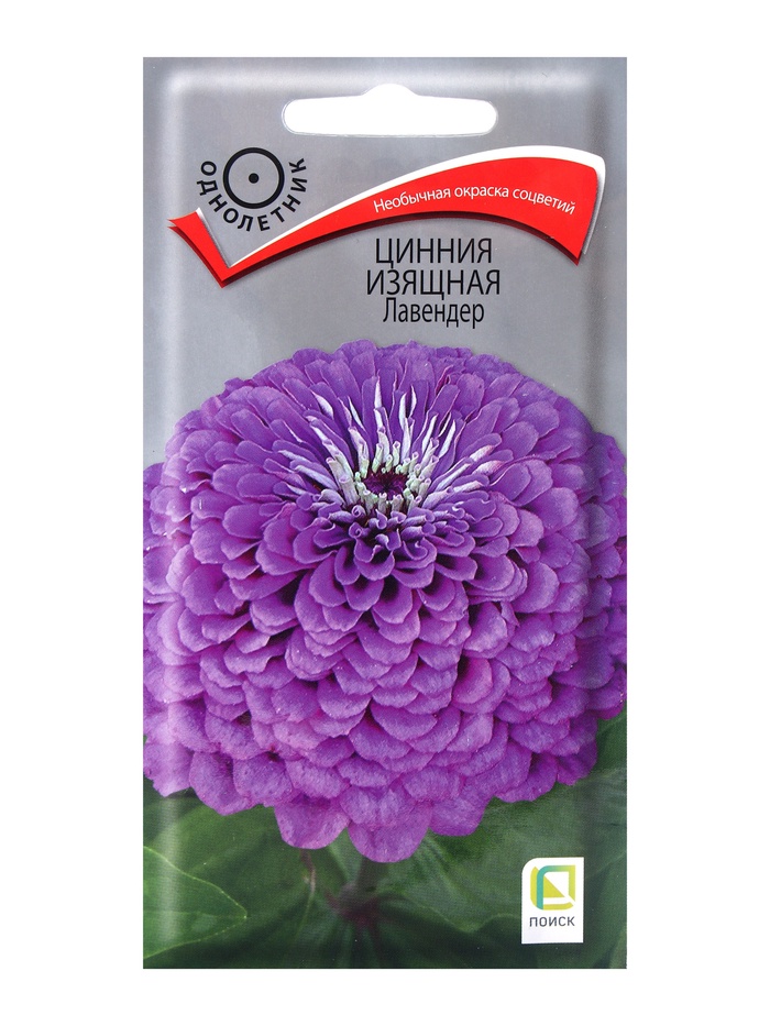 Семена цветов Цинния изящная Лавендер, 0,4гр - Фото 1