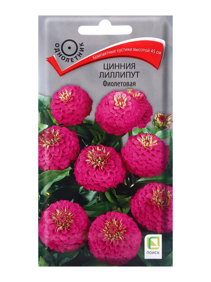 Семена цветов Цинния лиллипут Фиолетовая, 0,4гр - Фото 1
