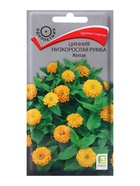 Семена цветов Цинния низкорослая Румба Жёлтая, 0,1гр - Фото 1