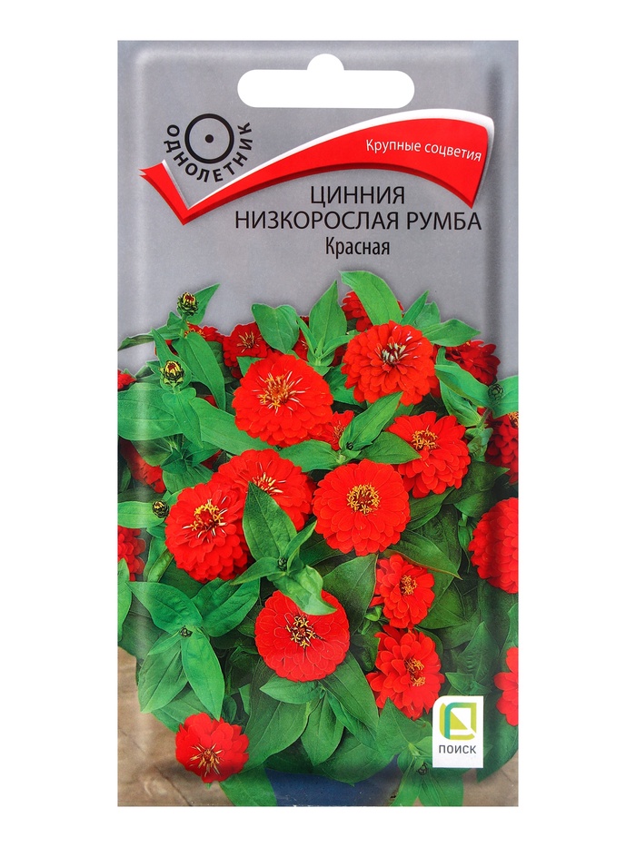 Семена цветов Цинния низкорослая Румба Красная, 0,1гр - Фото 1