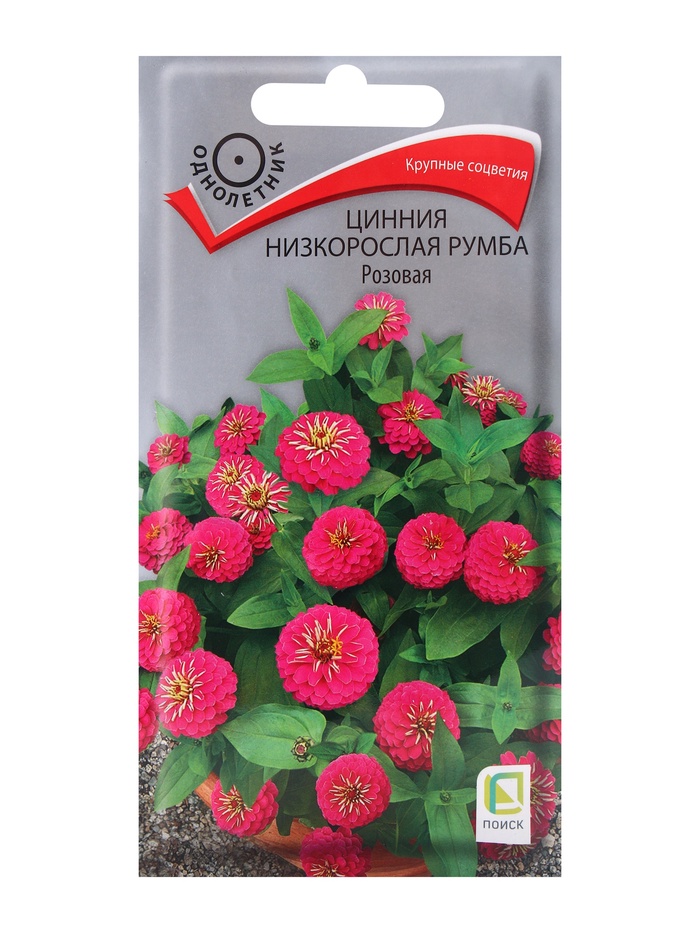 Семена цветов Цинния низкорослая Румба Розовая, 0,1гр - Фото 1