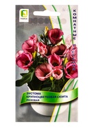 Семена цветов Эустома крупноцветковая Сюита Розовая, 5шт  (артикул 10849967)  большой выбор товаров оптом и в розницу по низким ценам с доставкой