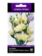 Семена цветов Эустома крупноцветковая «ЭйБиСи Еллоу», 10 шт., «ПОИСК» - Фото 1