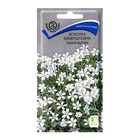 Семена цветов Ясколка Биберштейна Горный хрусталь, 0,05гр - Фото 1