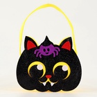 Карнавальный костюм «Зловещая Колдунья»: платье, шляпа, сумка, чулки, рост 104-110 см - Фото 6