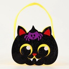 Карнавальный костюм «Зловещая Колдунья»: платье, шляпа, сумка, чулки, рост 110-116 см - Фото 6