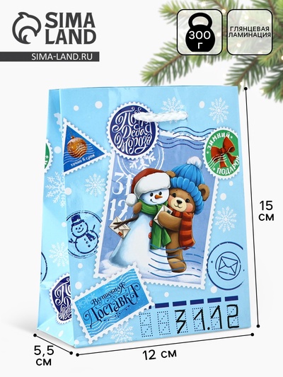 Пакет подарочный новогодний ламинированный «Новогодняя посылка», S 12×15×5.5 см