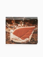 Гидрокамень для табака (увлажнитель), 5×3.3×0.7 см, набор 3 шт. - фото 34275003