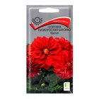 Семена цветов Георгина низкорослая "Барокко Красная", 0,1гр - Фото 1