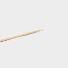 Шпажки Доляна «Котики», h=12 см, набор 25 шт., бамбук - Фото 6