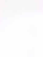 Пленка для цветов, «Серебряная сторона», белый, 57×57±1 см - Фото 6