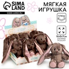 Мягкая игрушка "Зайка Li" МИКС 10767031 - фото 316242412