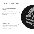 УЦЕНКА Шайба подростковая - Фото 1