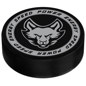 {{photo.Alt || photo.Description || 'УЦЕНКА Шайба хоккейная взрослая'}}