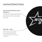 УЦЕНКА Шайба хоккейная взрослая - Фото 1