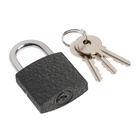 Замок навесной ТУНДРА OneKey001, 32 мм, с одной секретностью, 3 ключа 10524924 - фото 319848616