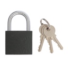 Замок навесной ТУНДРА OneKey001, 38 мм, с одной секретностью, 3 ключа 10524925 - фото 319848621