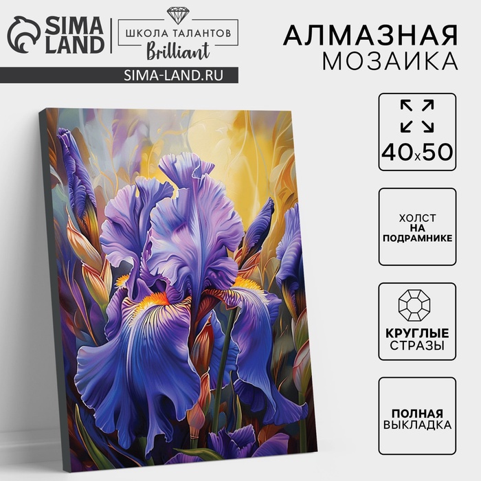 Алмазная мозаика с полным заполнением на холсте с подрамником «Ирисы», 40 х 50 см - Фото 1