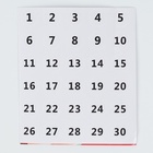 Алмазная мозаика с полным заполнением на холсте с подрамником «Ирисы», 40×50 см - Фото 6