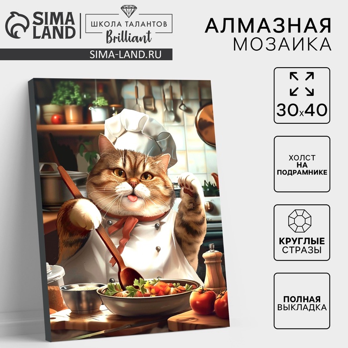 Алмазная мозаика с полным заполнением на холсте с подрамником «Толстенький повар», 30×40 см - Фото 1