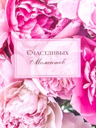 Пакет подарочный ламинированный горизонтальный «Моменты», XL 49 × 40 × 19 см 10688522