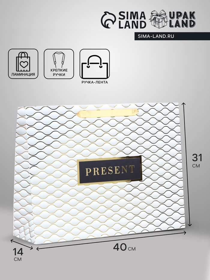Пакет подарочный ламинированный горизонтальный Present, L 40×31×14 см - Фото 1