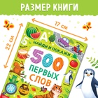 Книга в твёрдом переплёте «500 первых слов. Найди и покажи», 64 стр. - фото 31084405