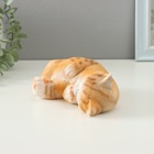 Фигурка полистоун TAKE IT EASY «Котик лежебока», 17×11×6 см - Фото 5