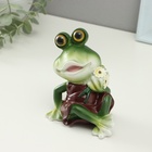 Фигурка полистоун TAKE IT EASY «Лягушка с ромашкой», 7×9.5×11.5 см - Фото 5