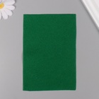 Фетр мягкий 1.5 мм "Зелёный" набор 5 листов 10х15 см (комплект 5 шт) - фото 31558724